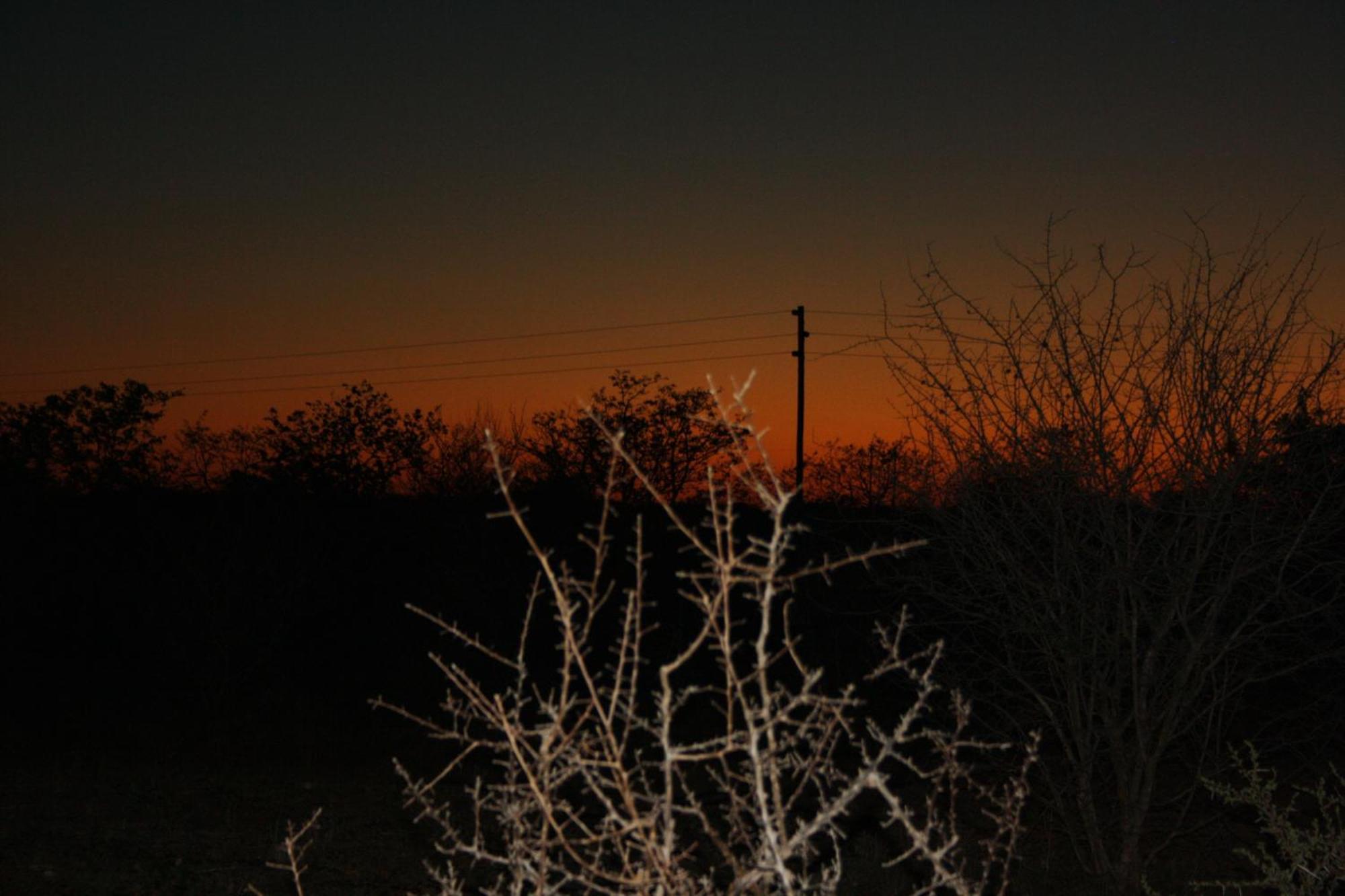 Normann Safari Bush Lodge Phalaborwa Zewnętrze zdjęcie