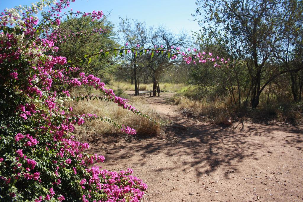 Normann Safari Bush Lodge Phalaborwa Zewnętrze zdjęcie