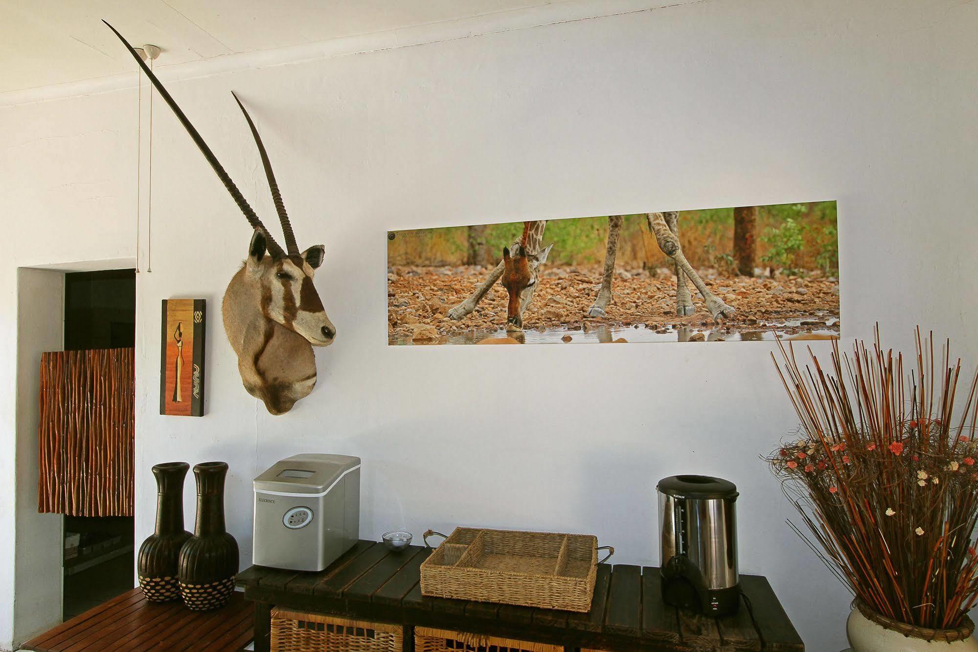 Normann Safari Bush Lodge Phalaborwa Zewnętrze zdjęcie